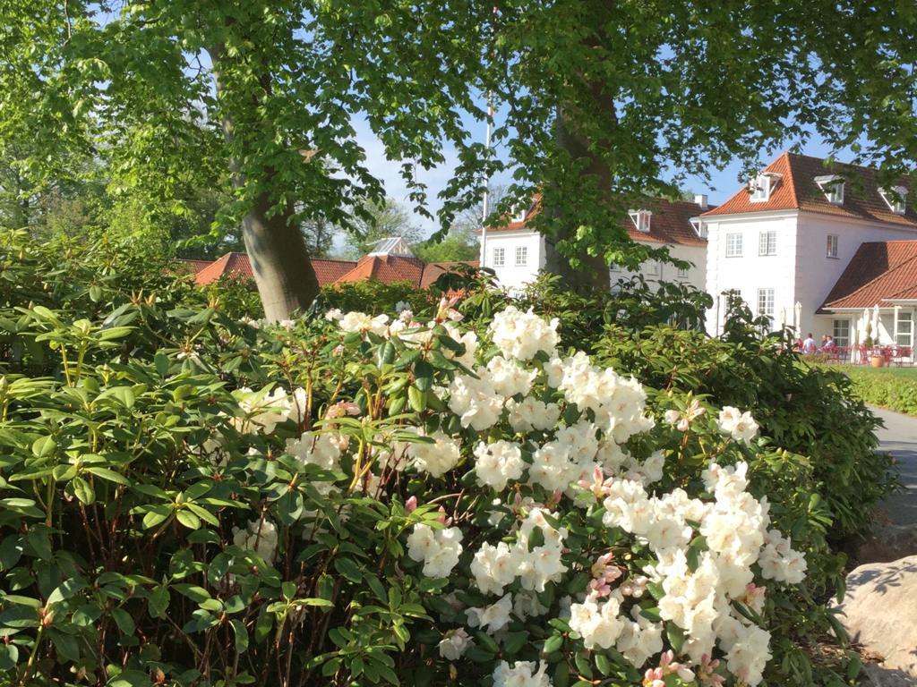Rungstedgaard Otel Dış mekan fotoğraf